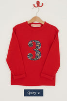 A red 3rd birthday t-shirt with a liberty zoo animals Quey 2 print number 3 appliquéd on the front. 