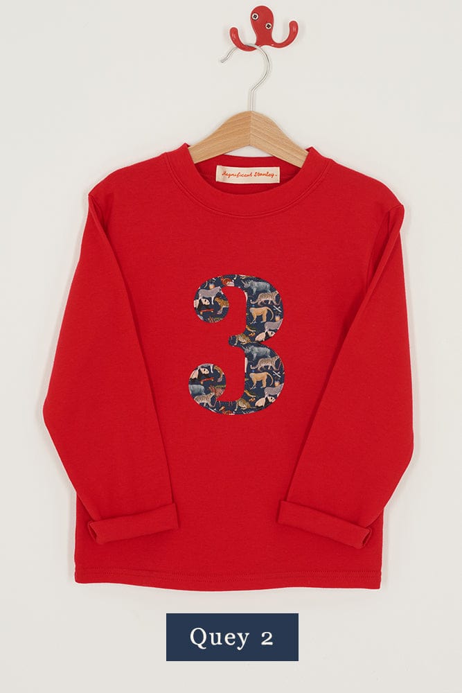 A red 3rd birthday t-shirt with a liberty zoo animals Quey 2 print number 3 appliquéd on the front. 